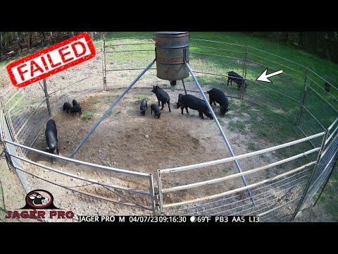 JAGER PRO® TV | BIG PIG TRAP - M.I.N.E.® CAMERA CONVERSION KIT