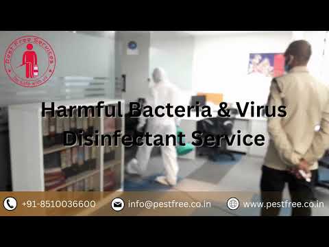 Pest Control Services
