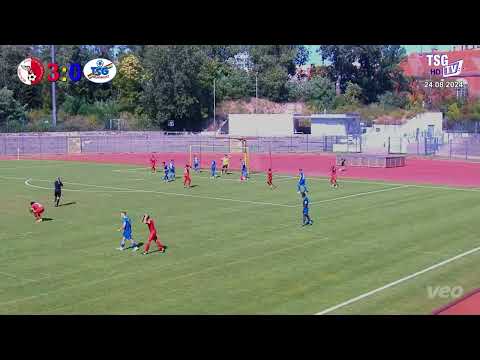 ZF 3. ST Berliner AK - TSG Neustrelitz