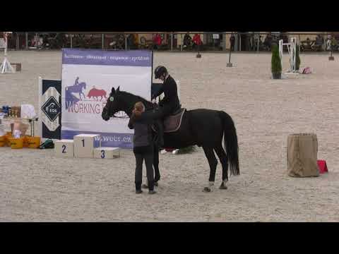 Dekorování – Working Equitation – Královice, 28. 9. 2024