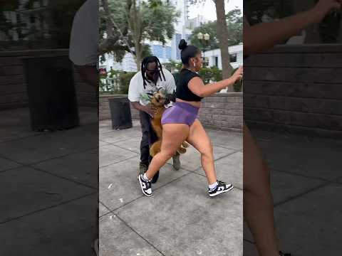 Fake Dog Prank 😂😂😂 she too funny running 😂😂😂 #shorts