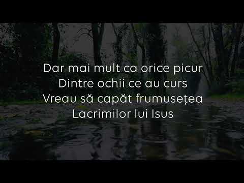 Prayer for Peace: "Lord, Wipe My Tears"