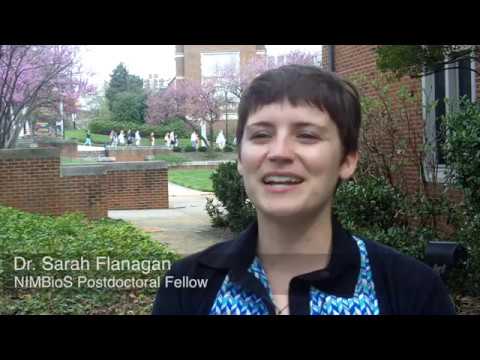 The Genetic Basis of Complex Traits