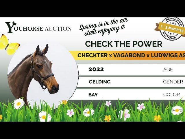 Check the power under the saddle
