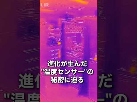 バイオデータサイエンス学科 温度の感じ方は進化でどう変わった？研究室で探る生物の神秘