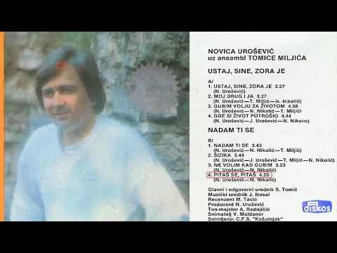 Novica Urosevic - Pitas se, pitas - (Audio 1985)
