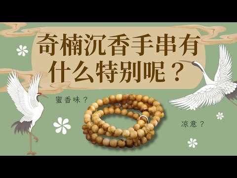 Wearing a Qi Nan agarwood bracelet feels like stepping into heaven🧚‍♂️