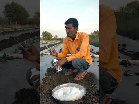 6 B.A चा उपयोग कूठे व कसा ? 🌱 || #agriculture #shorts