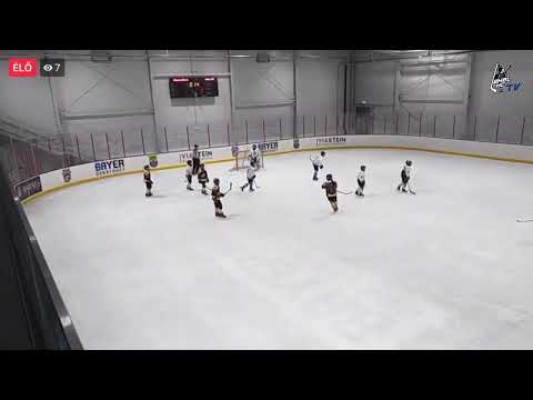 2020.12.12. JÉGOROSZLÁNOK - LEHEL HC U14/B 2.-3.harmad