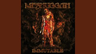 Kadr z teledysku God He Sees in Mirrors tekst piosenki Meshuggah
