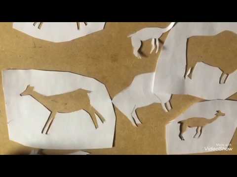 Arte Rupestre (con café de cocina)