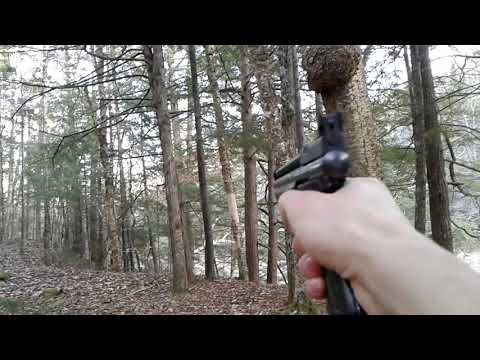 Firing multiple pellets with one-shot gun