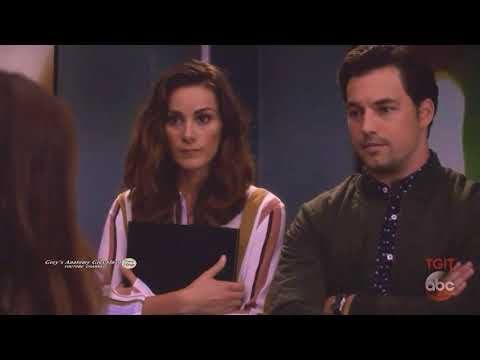 Grey's Anatomy Amelia's brain tumor foreshadowing (13x22/14x02)