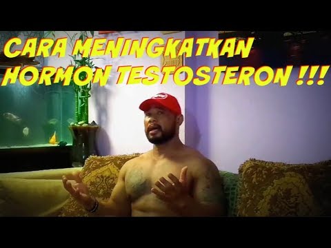 Latihan meningkatkan potensi laki-laki Obat terbaik untuk forum potensi