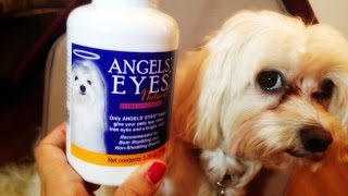 Dog Product Review - Angel Eyes Week 1 (For Tear Staining)