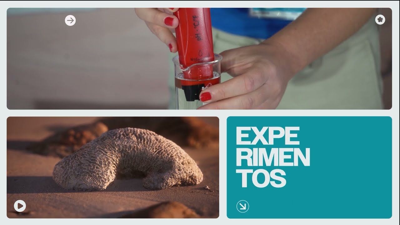 Experimentos Ocean Lab | Corrientes marinas