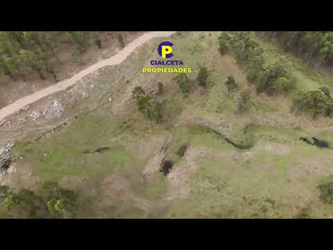 Cialceta Propiedades | Venta de chacras de 3 hectáreas en zona de Migues