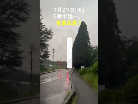 雷雨中の携帯電話の使用: 雷に打たれそうになっていますか?