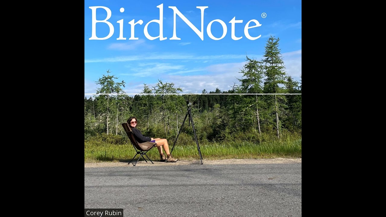 Molly Adams on Birding with Long COVID