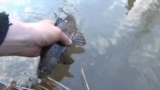Какие крючки лучше для ловли хариуса
