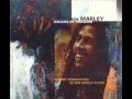 Bob Marley One Love Dub 