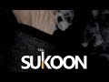 Sukoon (official Video) | Tayyab Amin Teja | Zindagi Sukoon Labdi | Seemab Arshad |