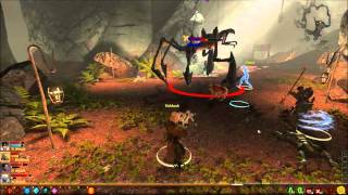 Dragon Age 2 Varterral Mirror Image Nightmare