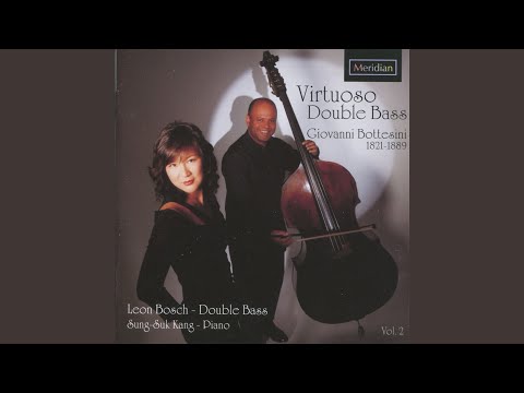 Fantasia Sulla "Norma di Bellini"