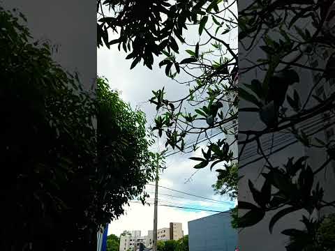 clima notícias News de Francisco Beltrão Paraná