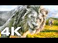 MUFASA THE LION KING 4 Minutes Trailer 4K ULTRA HD