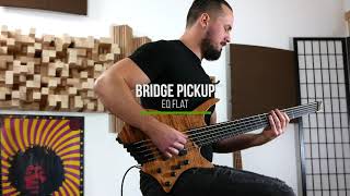 Video thumbnail for Boden Bass Prog 5 Reference by Strandberg Guitars