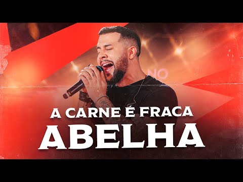 Adriano Rhod - A Carne é Fraca / Abelha (Pra Boca do Copo Acusticão)