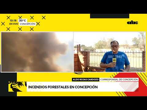Fuego de incendios forestales afectan a puente en Concepción