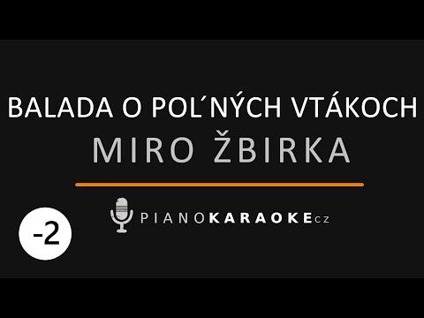 Miro Žbirka - Balada o poľných vtákoch (Nižší tónina) | Piano Karaoke Instrumental