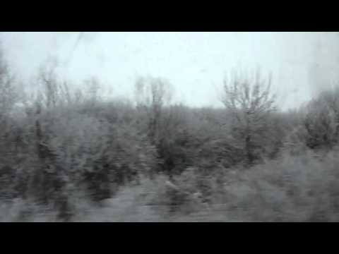 Calatorie cu P3644 pe ruta Alesd - Aleds h. (Winter Edition) (31 01 2011)