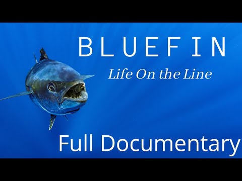 Life On The Line  - The amazing true story of the Southern Bluefin Tuna