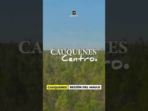Increíbles parcelas en la comuna de Cauquenes en la región del Maule 🇨🇱 #parcelaseconomicasenchile