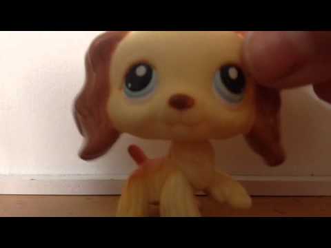 All my LPS cocker spaniels.