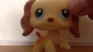 All my LPS cocker spaniels.