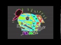 PBS Kids 1996 Logo In Real G Major 4