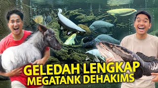 Download lagu GELEDAH MEGATANK IRFAN HAKIM TERBARU! ADA BAYI HEWAN BARU LAHIR DI JOGLO DEHAKIMS! mp3 Download lagu GELEDAH MEGATANK IRFAN HAKIM TERBARU! ADA BAYI HEWAN BARU LAHIR DI JOGLO DEHAKIMS! mp3