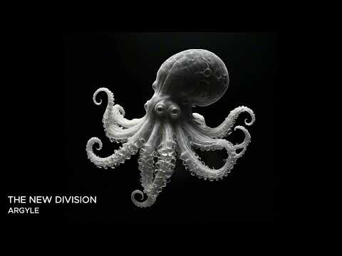 The New Division - Argyle