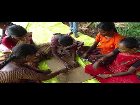 Farmer Climate School – Cultivating climate resilience