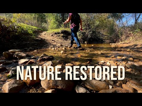 I Hiked O'Melveny and Aliso Canyon Trails After the Storm (early Dec. 2025)