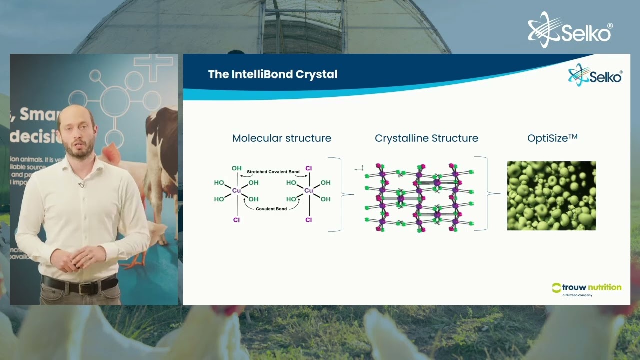 Selko IntelliBond: Redefining Trace Minerals with verified sustainability