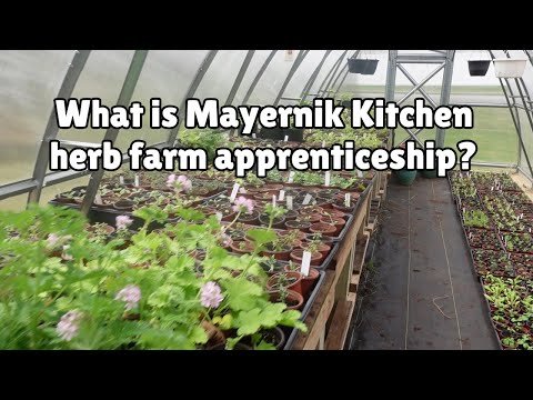 Grow Your Own Medicine, the 2026 Mayernik Kitchen Farm Apprenticeship
