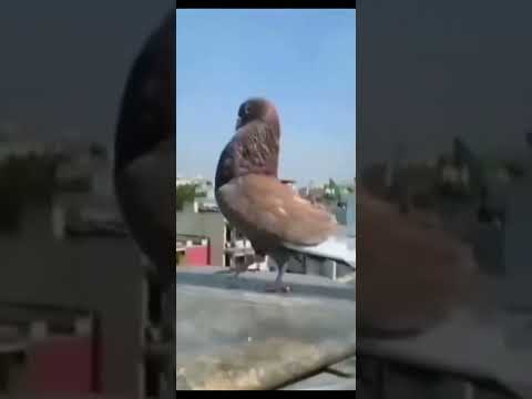 1#izhan#1💪💪💪😎❤️