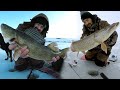 Video Thumbnail for Antelope Lake Big Walleye AND Northern Pike Crystal Clear Underwater Footage MarCum HD Pursuit