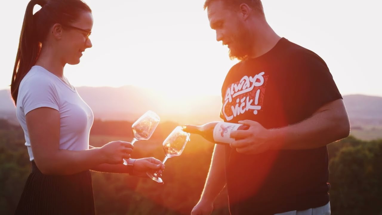 Private Wine Tasting at a Boutique Winery in Dolenjska