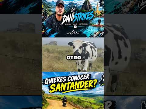 ¿Vale la pena visitar el Páramo de Santurbán? #shorts
